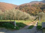 chiesa
