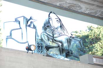 DSC_1641