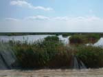 vacanze